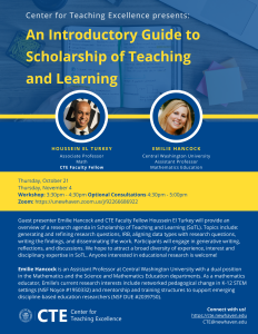 An Introductory Guide to Scholarship of Teaching and Learning